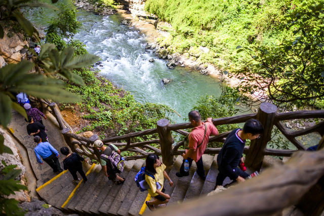 山谷 瀑布 树林 悬崖 植物 山峰 户外 小河 洞穴