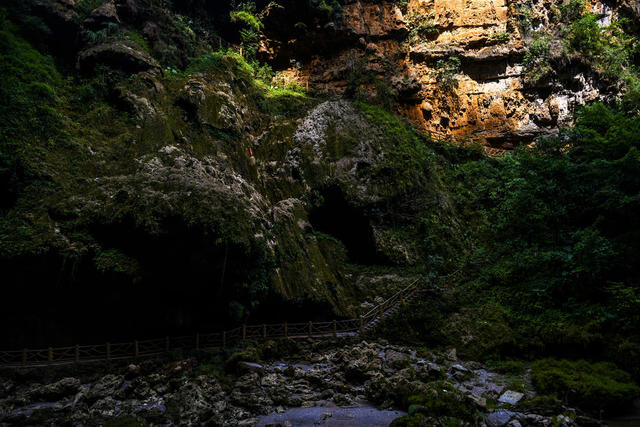 山谷 瀑布 树林 悬崖 植物 山峰 户外 小河 洞穴