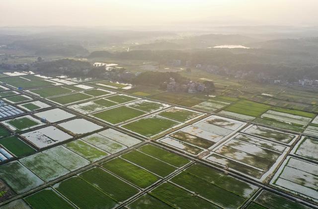 田地 日出