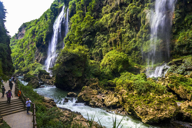山谷 瀑布 树林 悬崖 植物 山峰 户外 小河 洞穴