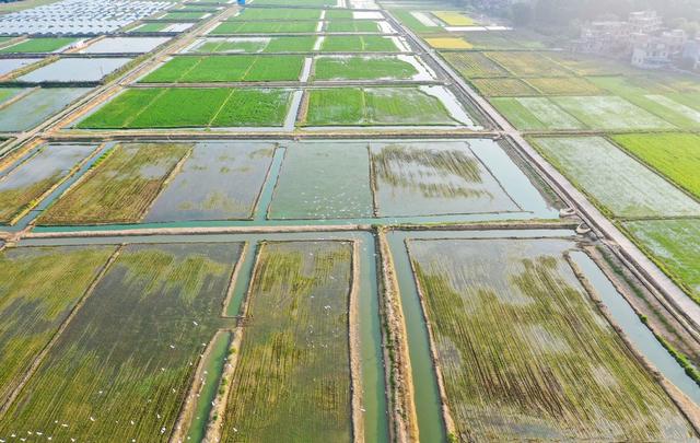 田地 日出