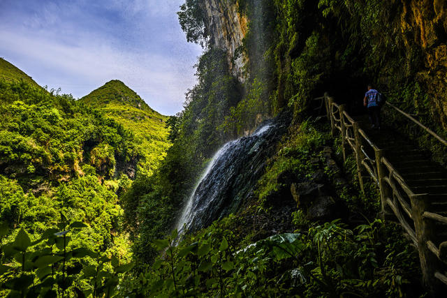 山谷 瀑布 树林 悬崖 植物 山峰 户外 小河 洞穴