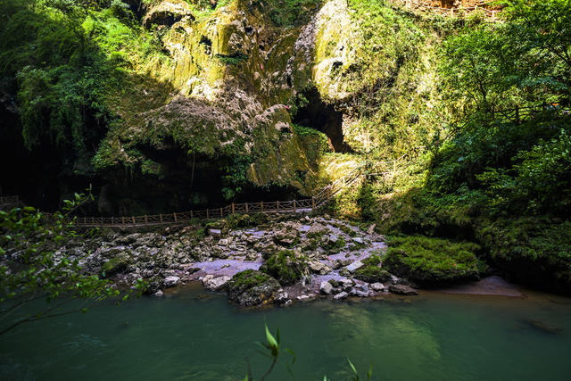 山谷 瀑布 树林 悬崖 植物 山峰 户外 小河 洞穴