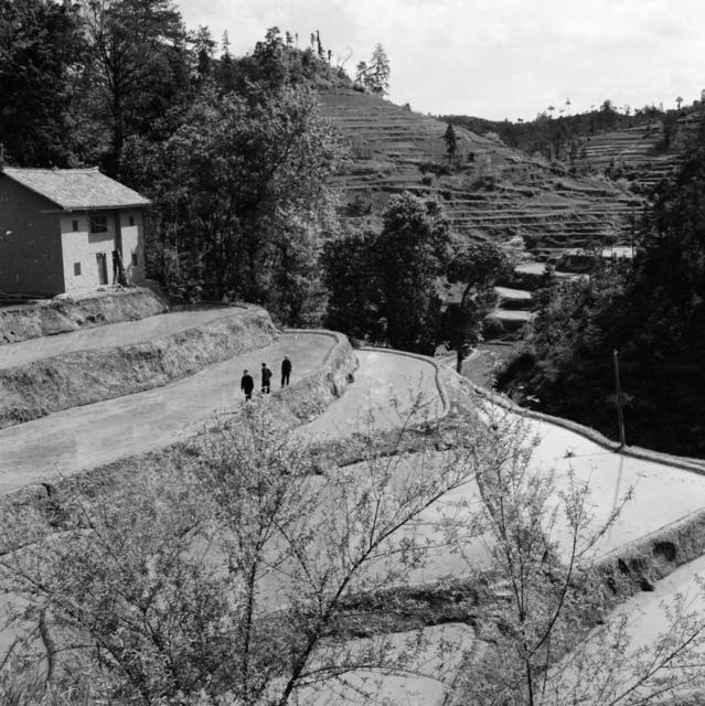 田地 室外  其他 石头墙 干草 斧头 户外 合影 猪 湖 羊