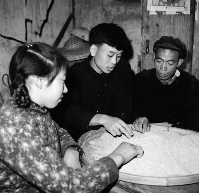 田地 室外  其他 石头墙 干草 斧头 户外 合影 猪 湖 羊
