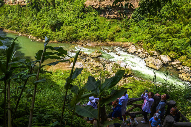 山谷 瀑布 树林 悬崖 植物 山峰 户外 小河 洞穴