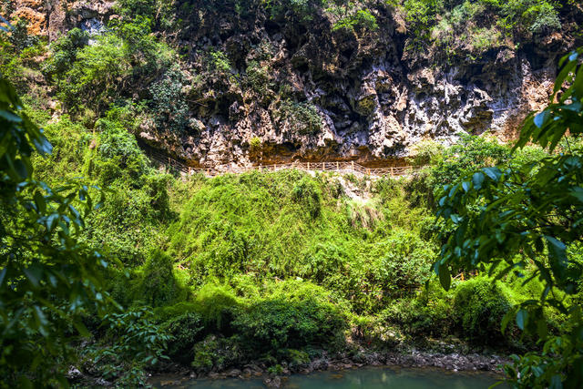山谷 瀑布 树林 悬崖 植物 山峰 户外 小河 洞穴