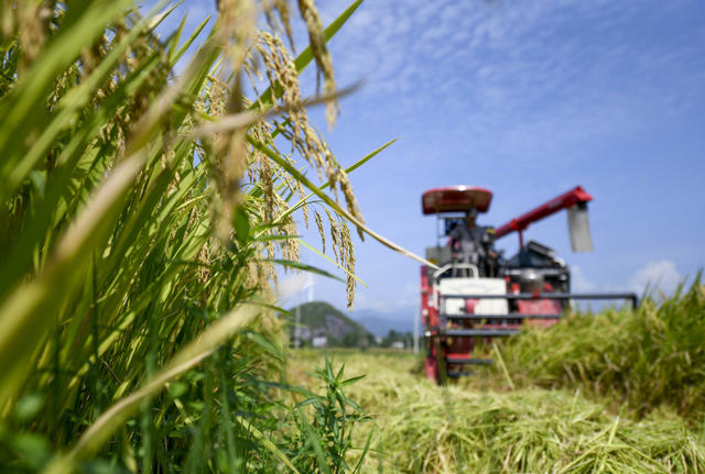 拖拉机 田地 收割机