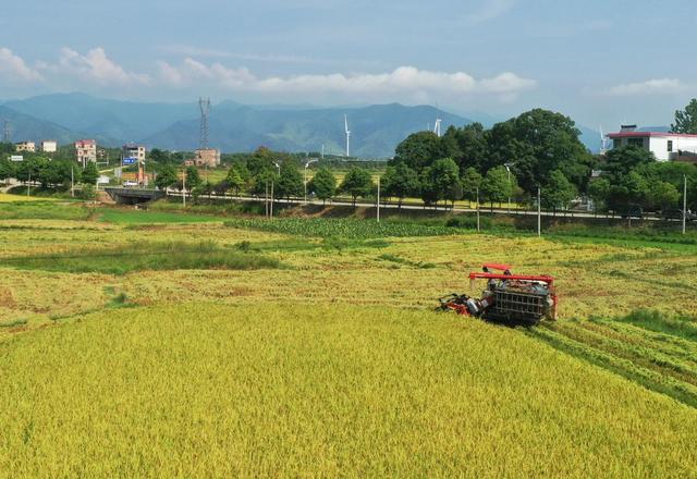 拖拉机 田地 收割机