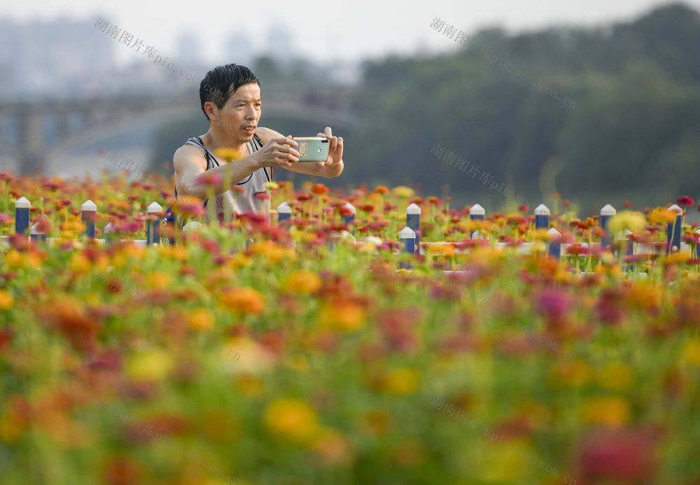 户外 植物 运动