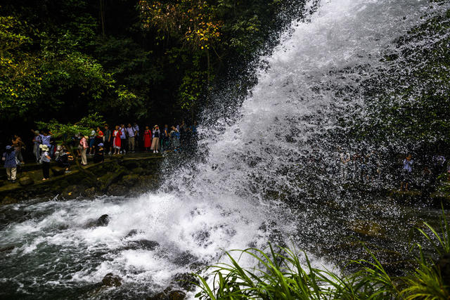 船 船桨 小河 湖 瀑布 树林 山谷 岩石 户外 游乐场 水坝 雨伞