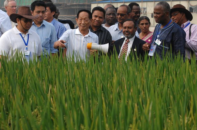袁隆平 院士 杂交水稻 农业