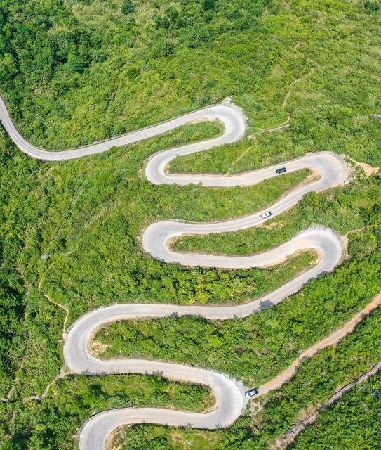 田地 公路 树林