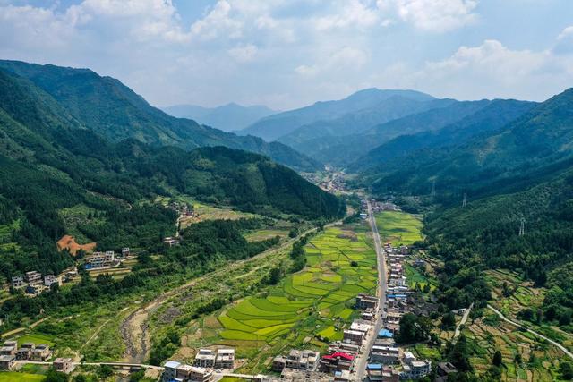 田地 公路 树林