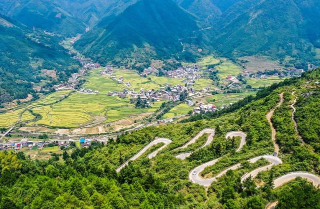 田地 公路 树林