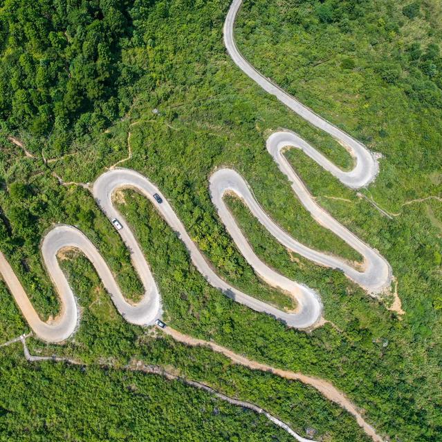 田地 公路 树林