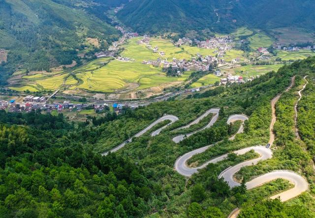 田地 公路 树林