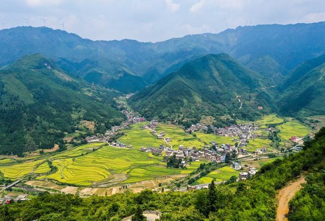 田地 公路 树林