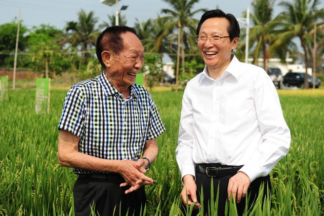 袁隆平 院士 杂交水稻 农业