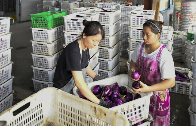 田地 运货车厢  蔬菜