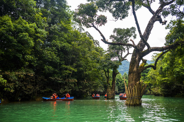船 船桨 小河 湖 瀑布 树林 山谷 岩石 户外 游乐场 水坝 雨伞