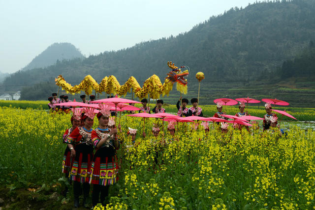 接 龙 舞 春 花 蹈 苗 景