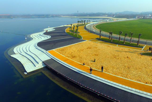 湿地公园 长沙 松雅湖 金沙银滩