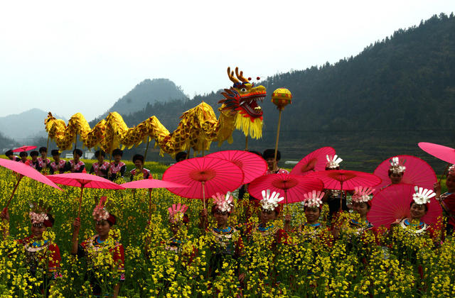 接 龙 舞 春 花 蹈 苗 景