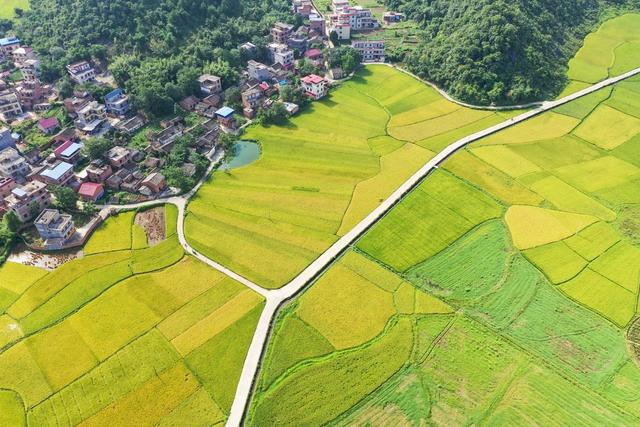 田地 户外 公路