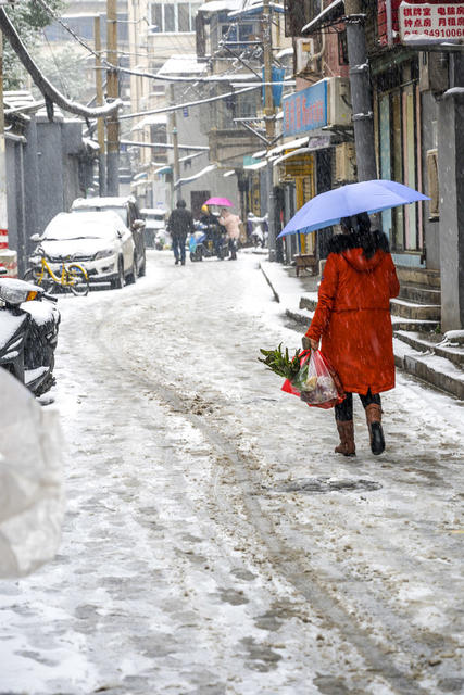 街道 雨伞 滑雪 铲子 衣物 车站 街景 箱包 烟草店 杂货店 理发店 庭院 牛仔裤 折叠椅 手推车 商场 篮子 理发椅