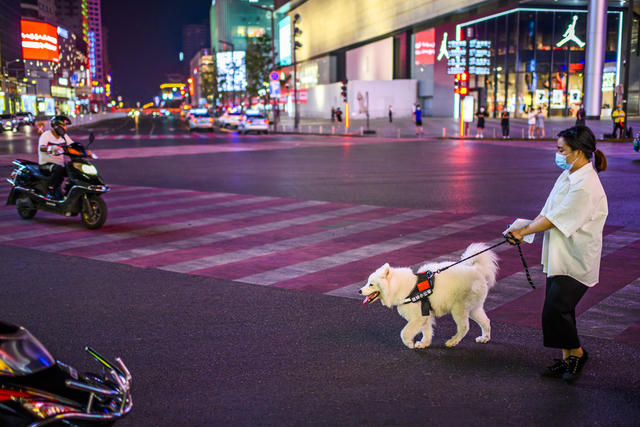 街景  夜景 楼梯扶手 箱包 商场 车站 杂货店 烟草店 广场 建筑 美女 餐厅 甜食