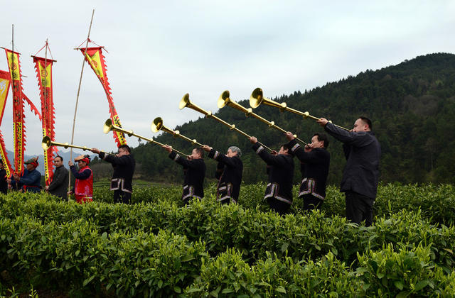 祭 茶 旅 融 合 村 兴