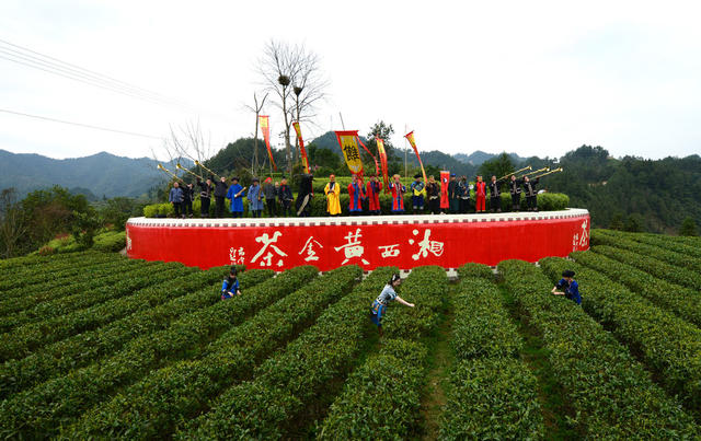祭 茶 旅 融 合 村 兴