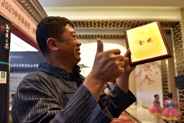 茶 祖 节 湘 西 黄 金 茶 品 茶  