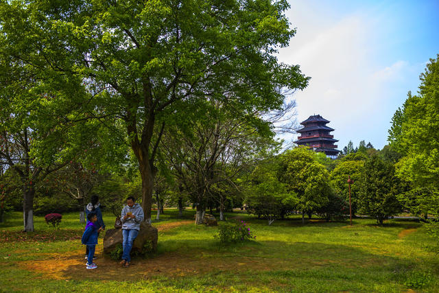 小河 湖 建筑 广场 室外 美女 草地 树林 植物 花 飞机