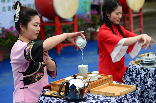  Tea Picking Exhibition 