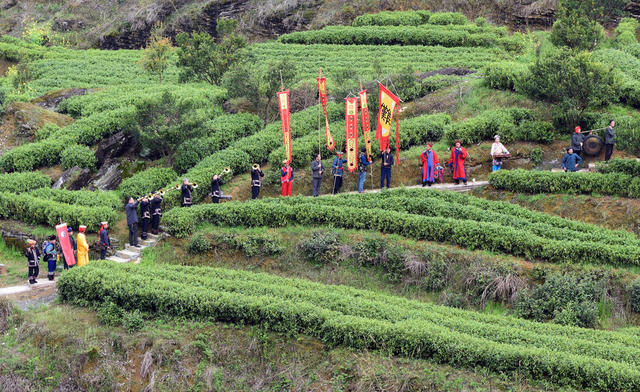 祭 茶 旅 融 合 村 兴