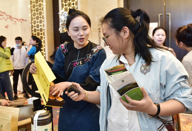  Xiangxi Golden Tea on Tea Ancestor Day  