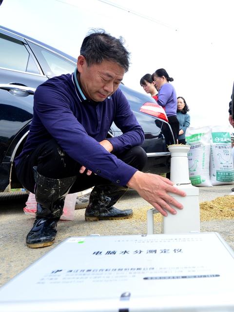 水稻  测产  丰收  高产  乡村振兴  统计 