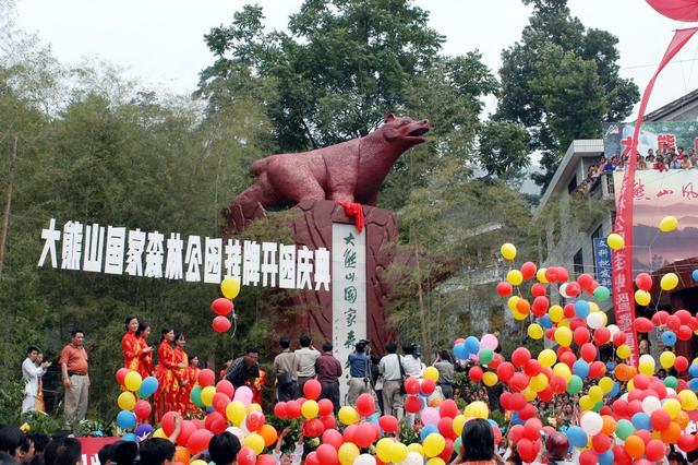 新化县 大熊山 森林公园 