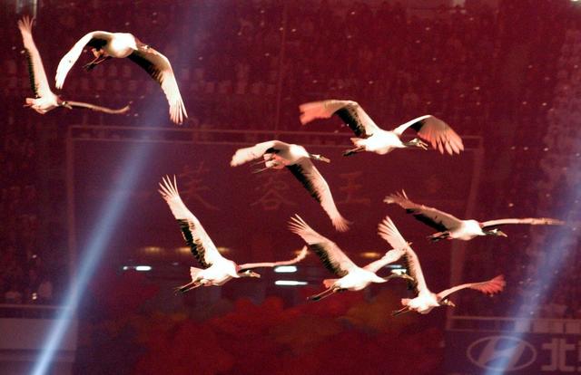 降落伞 火炬 美女 鼓 演出 运动 长沙 第五届城市运动会 