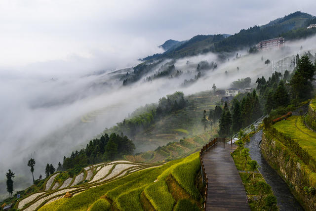 油菜花田 天空 日落 山峰 夜景 迷雾 画 山谷 草地 田地 公路 悬崖 户外