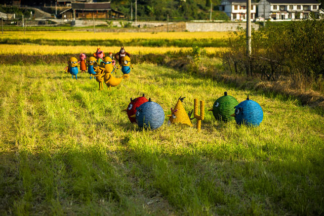 田地 户外 干草 草地 建筑 天空 油菜花田 动物