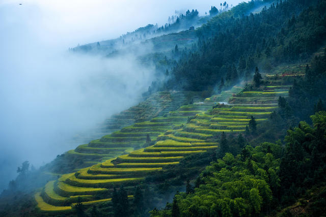 油菜花田 天空 日落 山峰 夜景 迷雾 画 山谷 草地 田地 公路 悬崖 户外