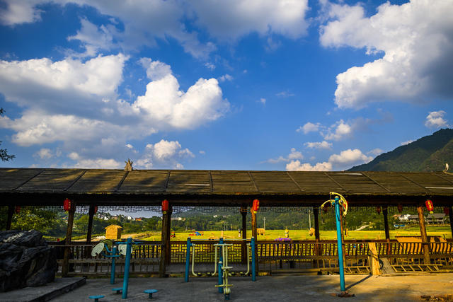 田地 户外 干草 草地 建筑 天空 油菜花田 动物