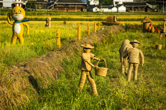 田地 户外 干草 草地 建筑 天空 油菜花田 动物
