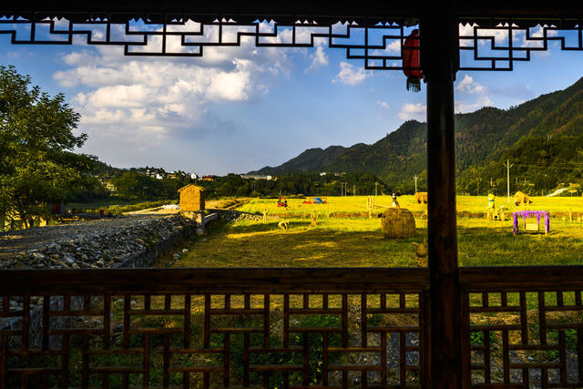 田地 户外 干草 草地 建筑 天空 油菜花田 动物