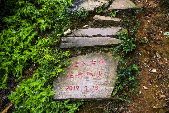 石头墙 树林 山谷 悬崖 户外 草地 巨石 植物 老人
