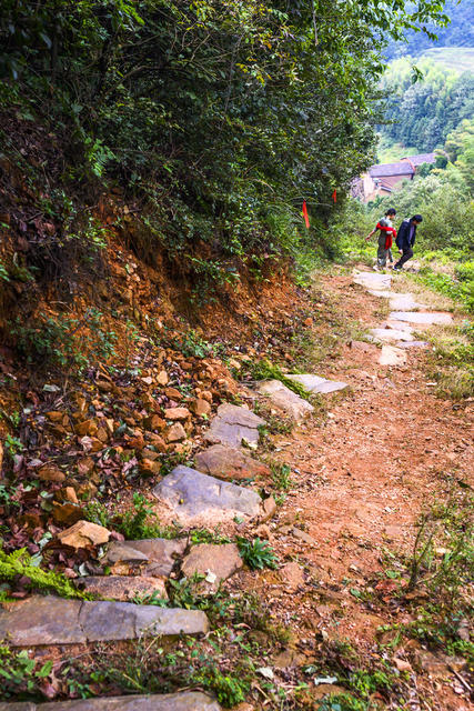 石头墙 树林 山谷 悬崖 户外 草地 巨石 植物 老人