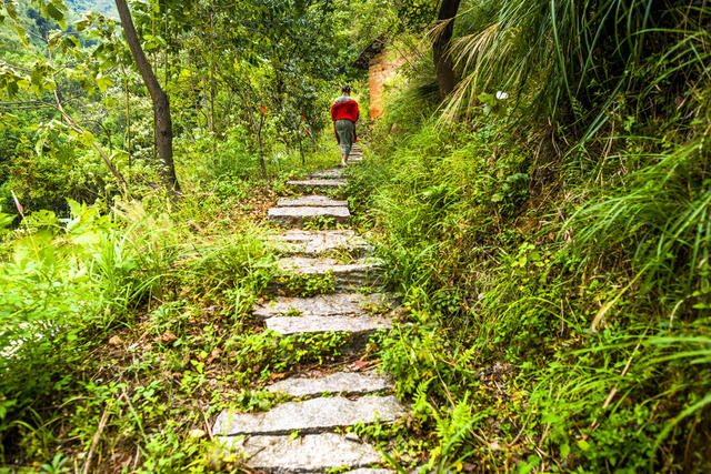 石头墙 树林 山谷 悬崖 户外 草地 巨石 植物 老人
